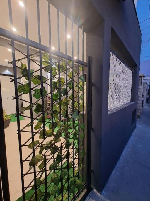 Flower'S House Di Doris Simone バーリ エクステリア 写真